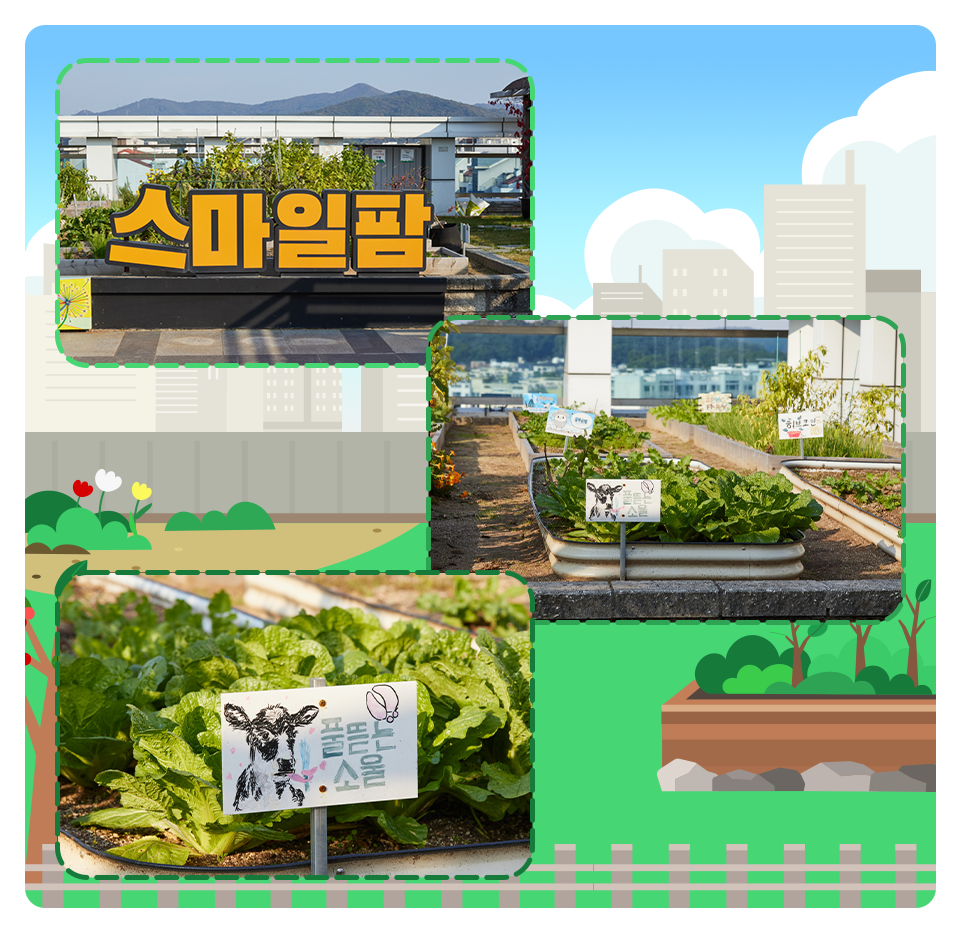 스마일팜_이미지 02.png